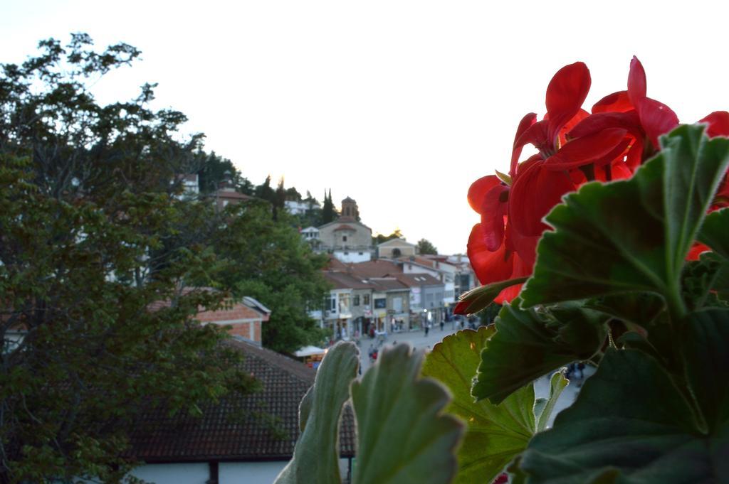 Apartments Mostrovi Ohrid Bagian luar foto